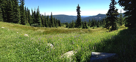 bennettpassbackroad17