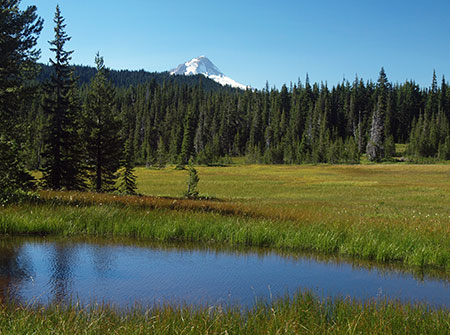 bennettpassbackroad19