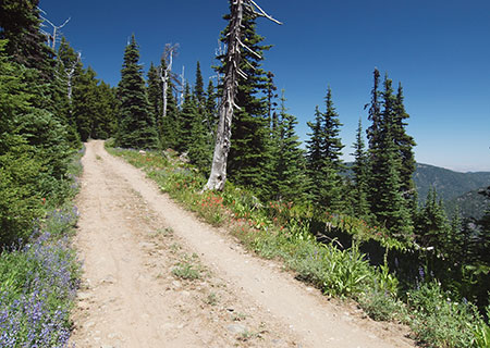 bennettpassbackroad24