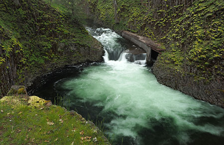 PunchbowlParkUpdate01