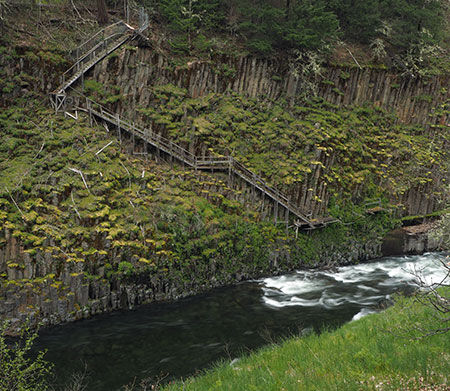 PunchbowlParkUpdate04