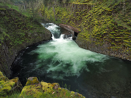 PunchbowlParkUpdate05