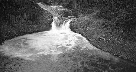 PunchbowlParkUpdate06