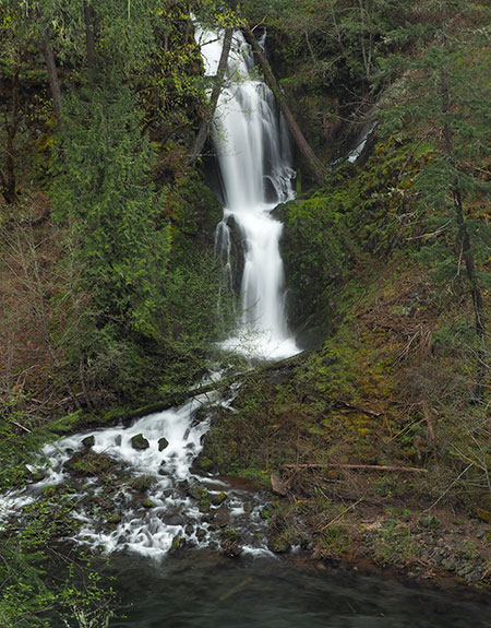 PunchbowlParkUpdate07