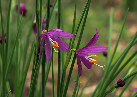 PunchbowlParkUpdate10