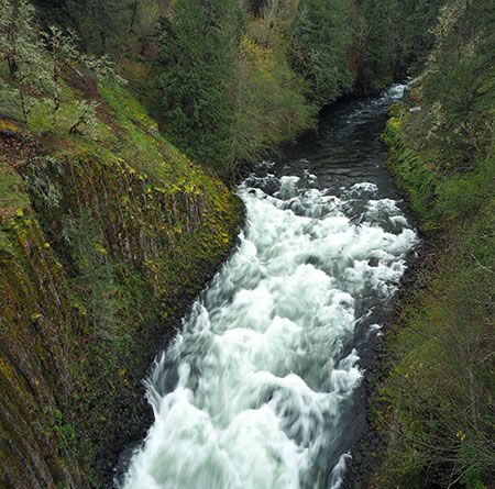 PunchbowlParkUpdate17