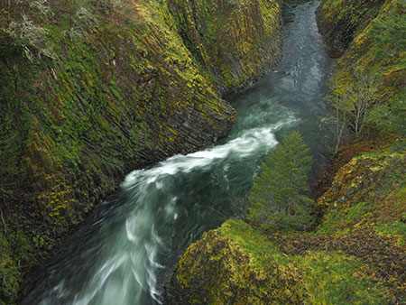 PunchbowlParkUpdate18