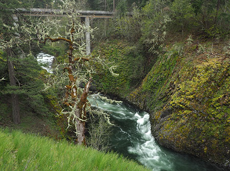 PunchbowlParkUpdate20