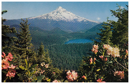 02RakerPointPostcardLarge1950s