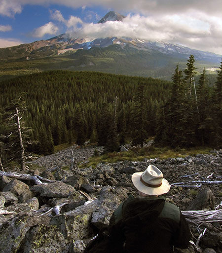 2008OwlPointSentinelTree