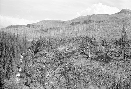 02YocumFallsTomDickMountain1936