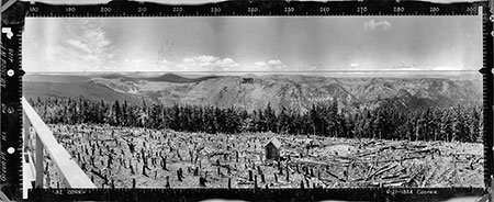 17GreenPointWest1934