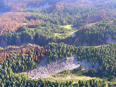 31DollarLakeMosaicPattern