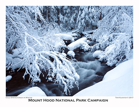 01aColdSpringCreekScene