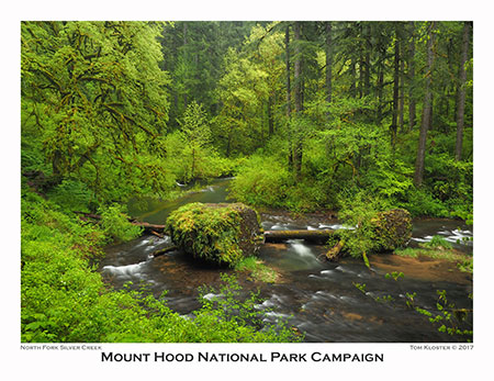 05aSilverCreekBoulderScene