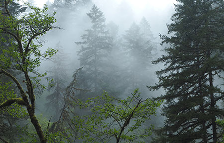 05bSilverCreekBoulderScene