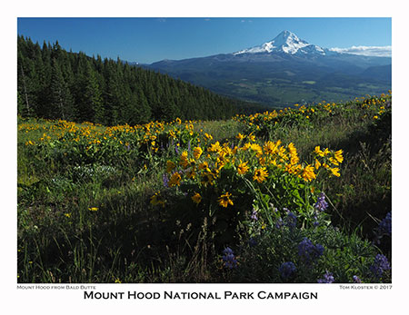 06aBaldButteSouthSlopeHood