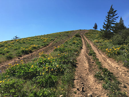 06bBaldButteSouthSlopeHood