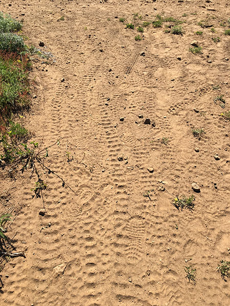 06cBaldButteSouthSlopeHood