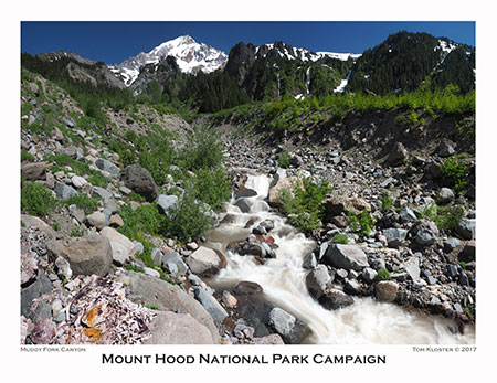 07aMuddyForkPanorama