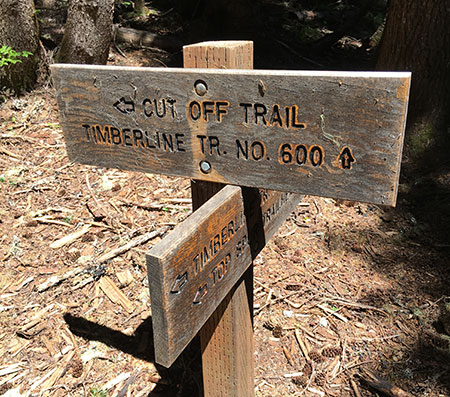 07cMuddyForkPanorama