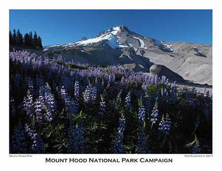 08aHoodWhiteRiverRimLowerMeadow