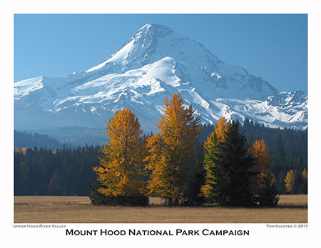 11aClearCreekFieldsHood