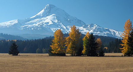 11cClearCreekFieldsHood