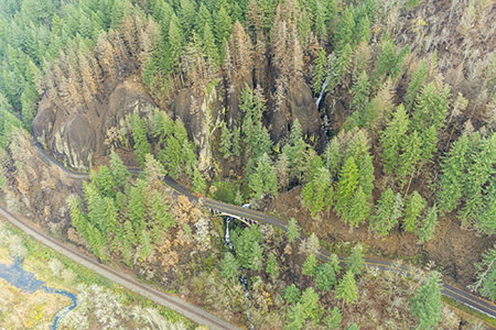 01aShepperdsDellThumb