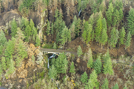 02aShepperdsDellThumb