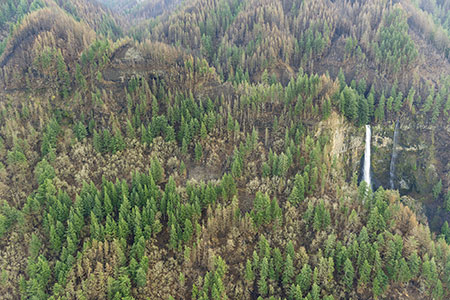 08aMultnomahFallsTrailThumb