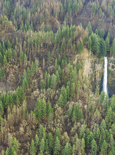 08bMultnomahFallsTrail
