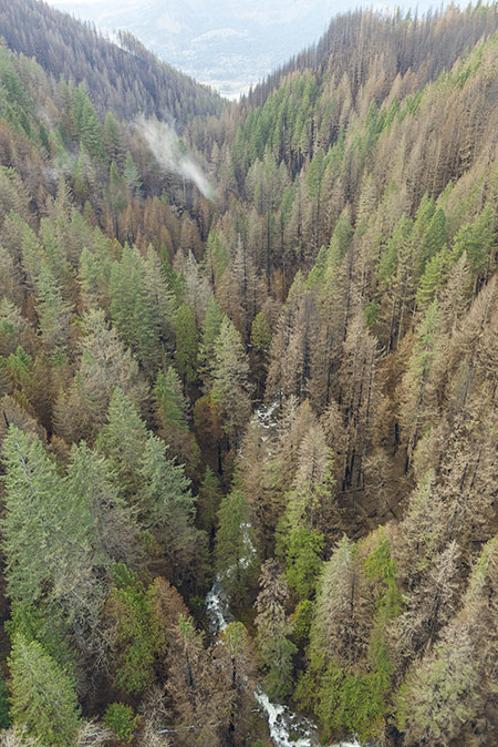 09aMiddleMultnomahCreekLarchMtnTrailThumb