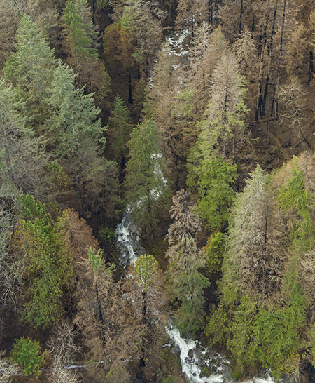 09bMiddleMultnomahCreekLarchMtnTrail