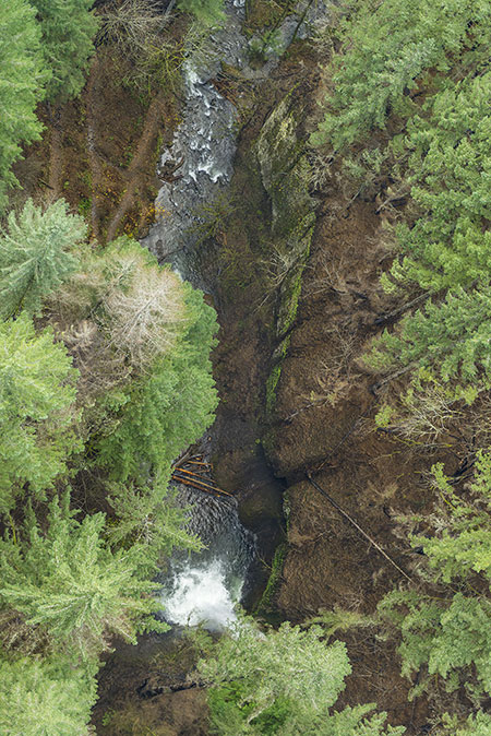 10aMultnomahCreekWeisendangerFallsThumb