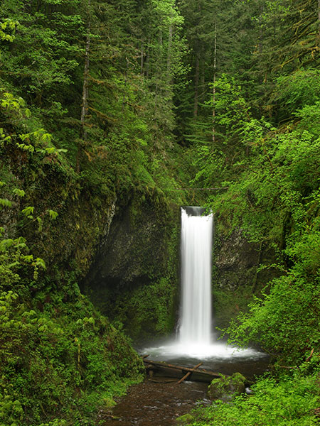 10cWeisendangerPortrait2008