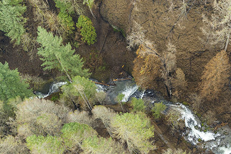 11aMultnomahCreekEcolaFallsThumb