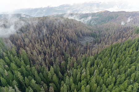 12aUpperMultnomahCreekLarchMtnTrailThumb