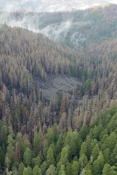 12bUpperMultnomahCreekLarchMtnTrail