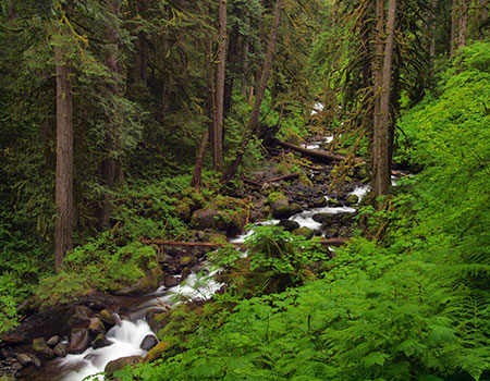 12cUpperMultnomahCreek2011