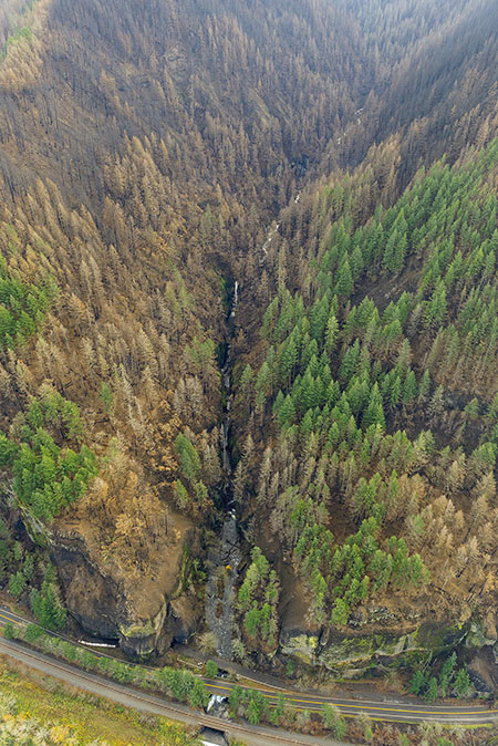 13aOneontaGorgeThumb