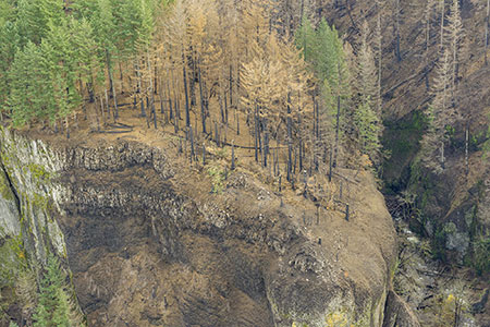 14aOneontaBluffThumb