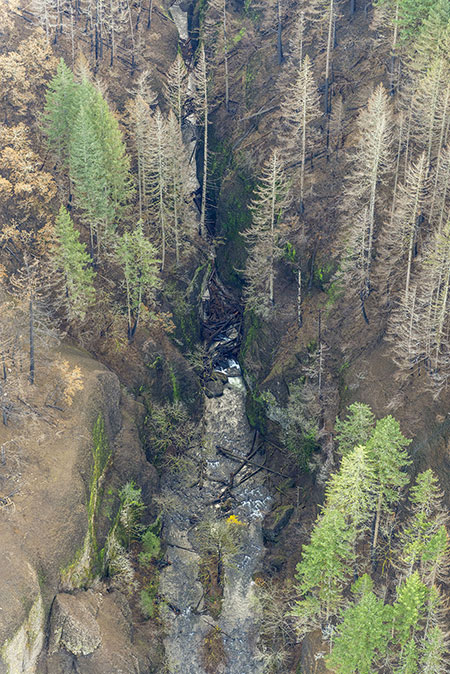 15aOneontaGorgeLogjamThumb