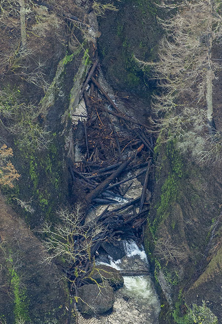 15bOneontaGorgeLogjam