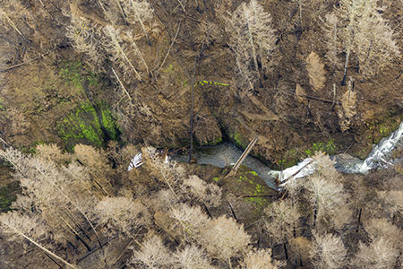 16aOneontaLowerBridgeOneontaGorgeThumb