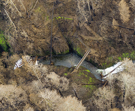 16bOneontaLowerBridgeOneontaGorge