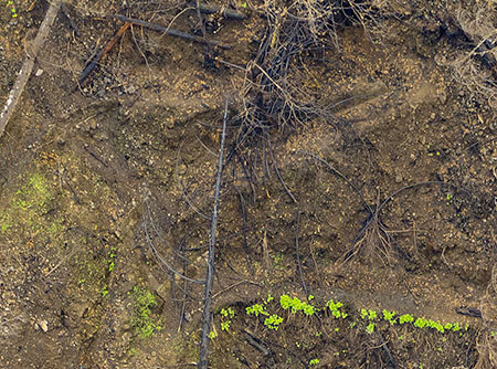 16dOneontaLowerBridgeOneontaGorge