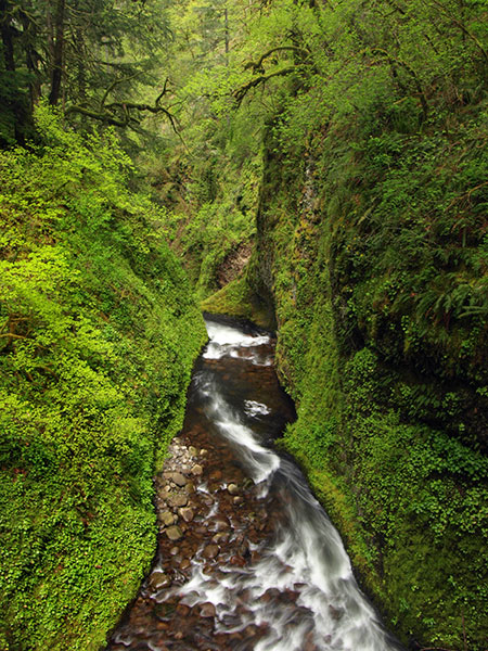 16eOneontaLowerBridgeView2008