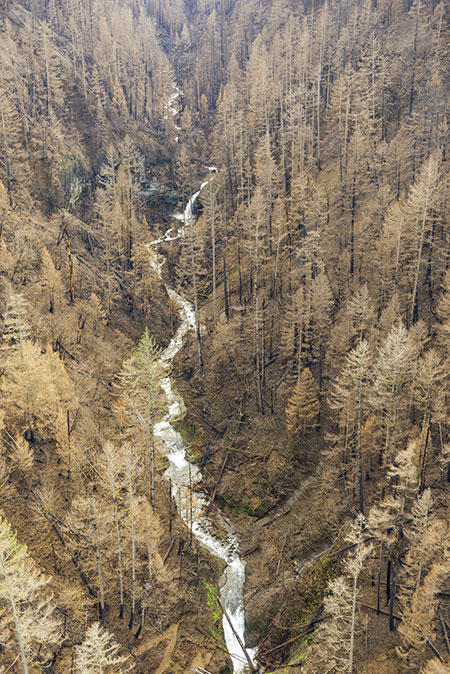 17aMiddleOneontaFallsOneontaBridgeFallsThumb