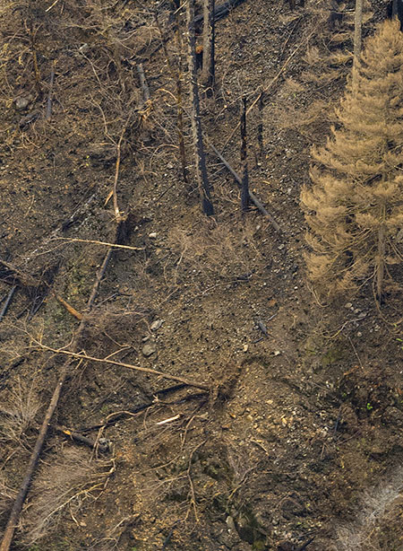 17bMiddleOneontaFallsOneontaBridgeFalls